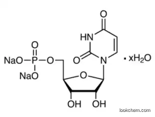 UMP-Na2 3387-36-8 Uridine-5'-monophosphate disodium salt