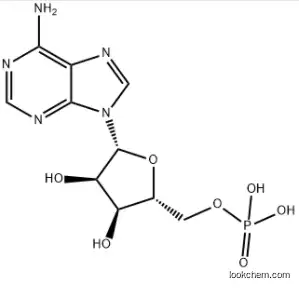 AMP CAS 61-19-8 Adenosine 5'-monophosphate