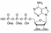 ATP disodium salt CAS 987-65-5 Adenosine Disodium Triphosphate