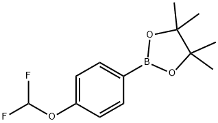 4-Difluoromethoxyphenylboronic acid pinacol ester