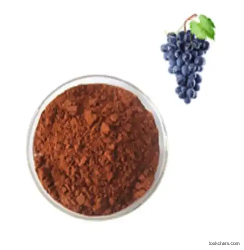 95% Proanthocyanidin Grape seed extract CAS 84929-27-1