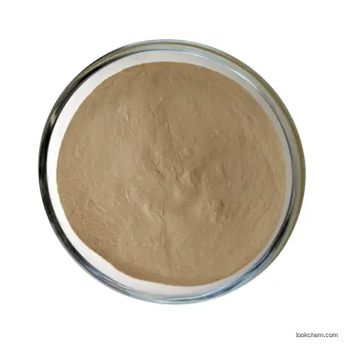 Reliable quality 9012-72-0 Yeast beta glucan Glucan yeast dextran