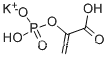 PHOSPHOENOLPYRUVIC ACID MONOPOTASSIUM SALT