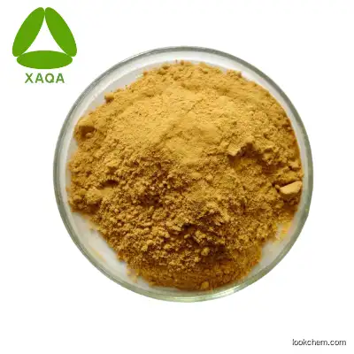 Hot selling Bayberry Fruit Extract Powder 10:1