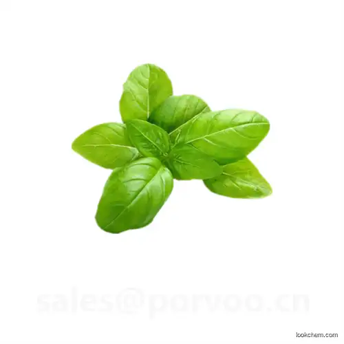 Natural high quality holy basil extract,Holy Basil Extract Anti-bacterial,Powdered Holy Basil Extract