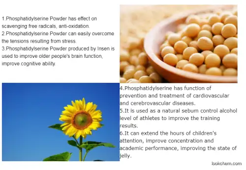 Soybean Extract Phosphatidylserine powder ( PS) 50%