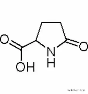 DL-Pyroglutamic acid Manufacturer CAS NO.149-87-1
