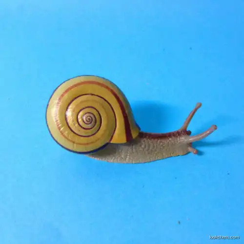 Snail polypeptide drying powder