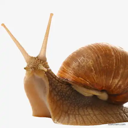 Snail polypeptide drying powder