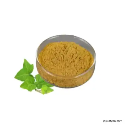 Hederacoside C 10% IVY Extract CAS 14216-03-6.