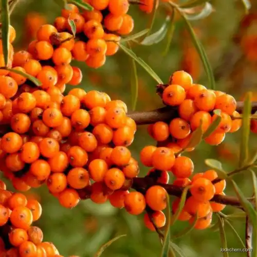 Sea buckthorn fruit active peptide drying powder