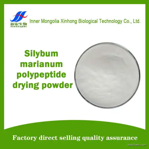 Silybum marianum polypeptide drying powder