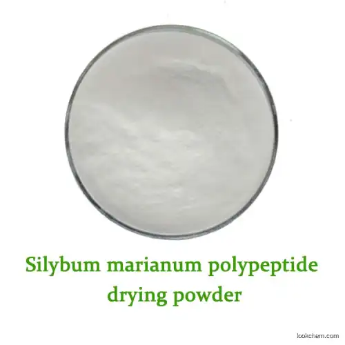 Silybum marianum polypeptide drying powder