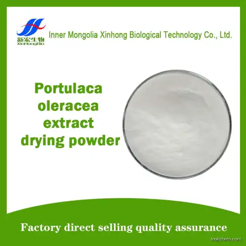 Portulaca oleracea extract drying powder