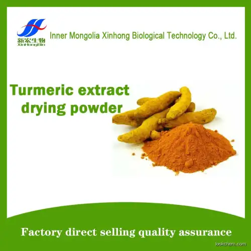Turmeric extract drying powder