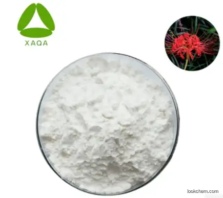 Top quality Lycoris Radiata Extract powder 98% Galantamine Hydrobromide powder