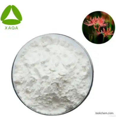 Supplier Lycoris Radiata Extract 98% Lycorine powder