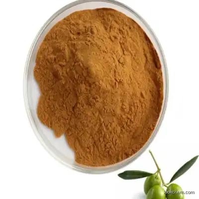 32619-42-4 :Oleuropein 40% Powder