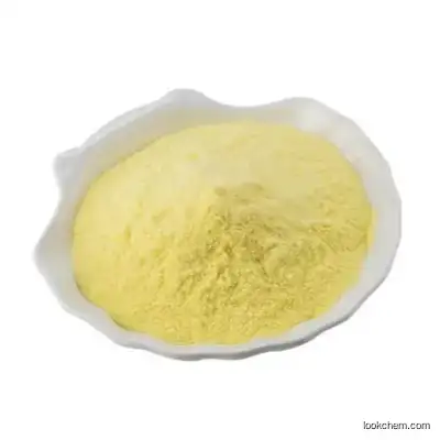 Factory Supply Gingerol 5% 23513-14-6 Ginger Root Extract Powder.