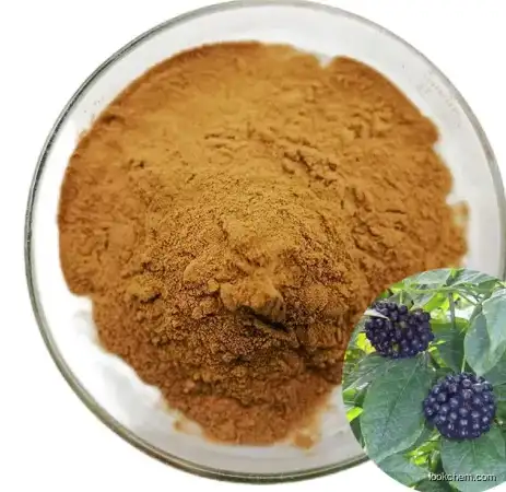 Organic Pure CAS 39432-56-9 Acanthopanax Senticosus Natural Extract Acanthopanax Powder
