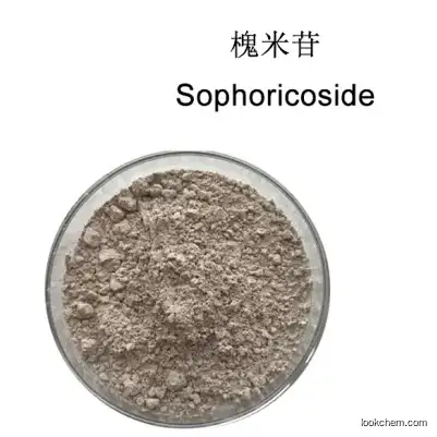 Sophoricoside Herb Sophora Fruit Extract Sophoricoside CAS 152-95-4 Genistein