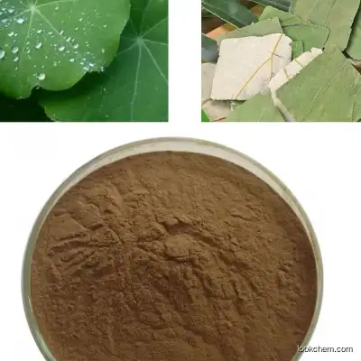 CAS 475-83-2 Lotus Leaf Extract Powder Nuciferin