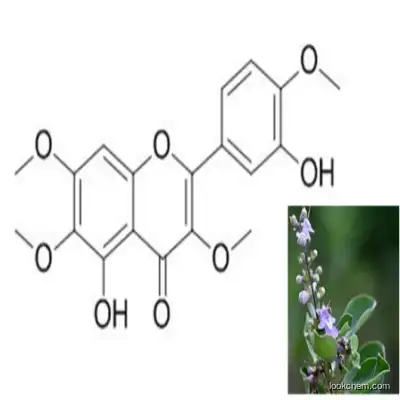 Plant extract 98% Casticin (Vitexicarpin) 479-91-4