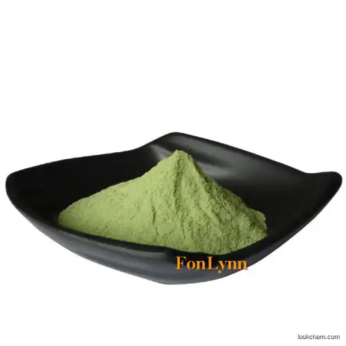 5905-52-2 CAS White green Powder 98%-100% from Factory ferrous lactate