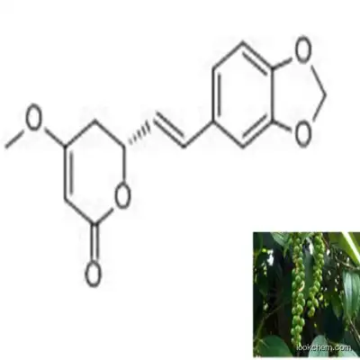 Plant Extracts 98% Methysticin  CAS 495-85-2