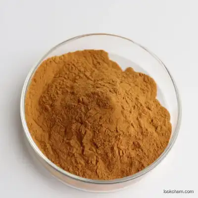 Natural Rosemary Extract Rosmarinic acid Powder 90% CAS 80225-53-2