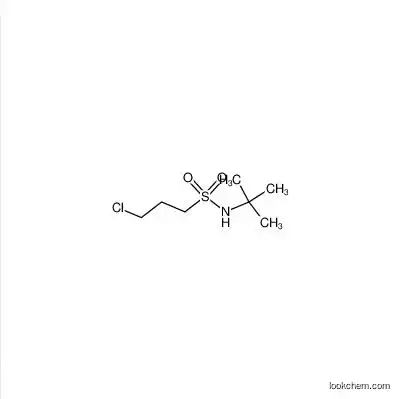 N-tert-butyl-3-chloropropane-1-sulfonamide CAS No. 63132-85-4