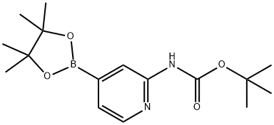 tert-Butyl[4-(4,4,5,5-tetramethyl-1,3,2-dioxaborolan-2-yl)pyridin -2-yl]carbamate