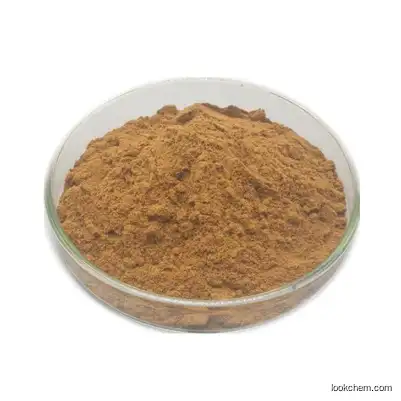 Weight Loss Pure Hop Flower Extract Powder Xanthohumol CAS 6754-58-1