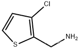 2-AMinoMethyl-3-chlorothiophene hydrochloride