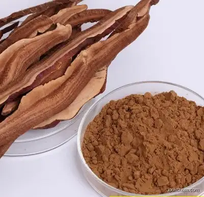 Chinese Traditional Herb Medicine Reishi Mushroom Lingzhi Ganoderma Lucidum Extract for Health Food