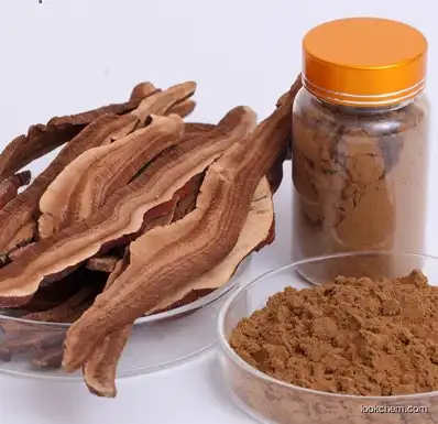 Chinese Traditional Herb Medicine Reishi Mushroom Lingzhi Ganoderma Lucidum Extract for Health Food