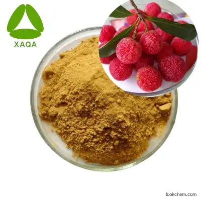 Hot selling Bayberry Fruit Extract Powder 10:1