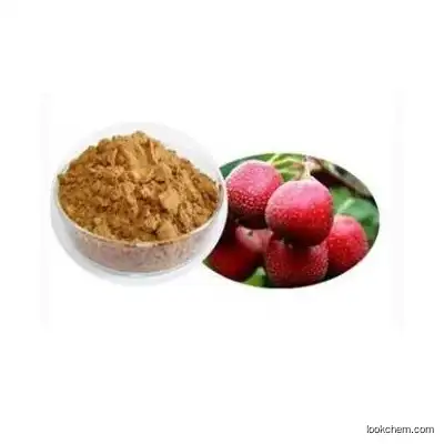 CAS 4373-41-5 Pure Hawthorn Extract Maslinic Acid with Top Quality