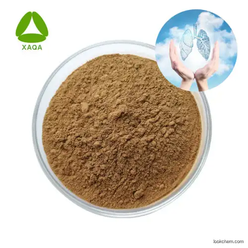 Top Quality Natural Milk Thistle Extract 30% Silymarin Powder