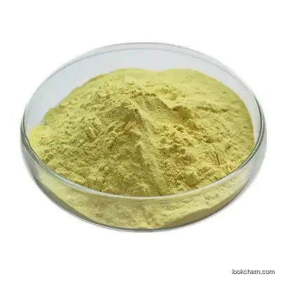 Manufacture Supply CAS 7689-03-4 Plant Extract Powder Camptothecin 98%