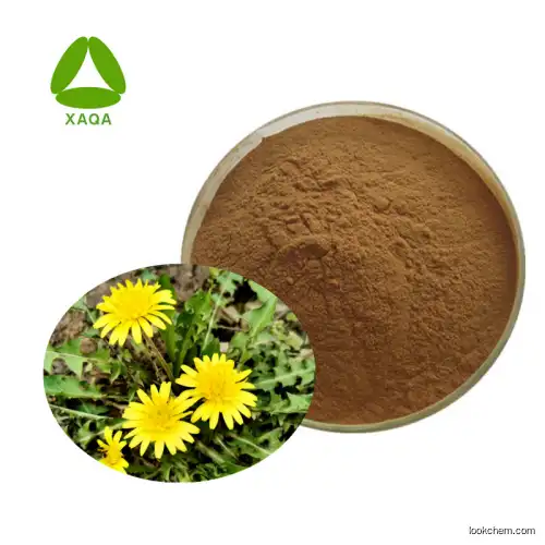 Top Quality Natural Dandelion Root Extract Flavonoids Powder 10%