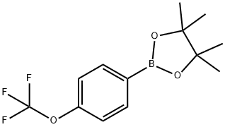 4,4,5,5-TETRAMETHYL-2-(4-TRIFLUOROMETHOXYPHENYL)-1,3,2-DIOXABOROLANE
