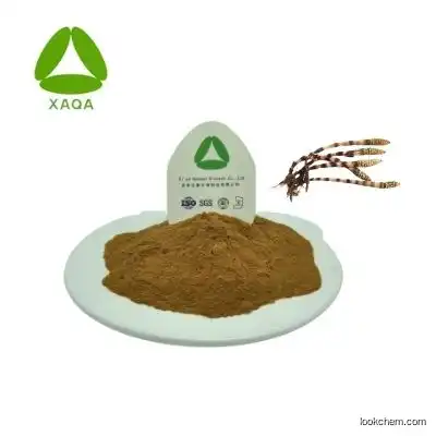 China Supplier Horsetail Extract powder Silica powder 10:1