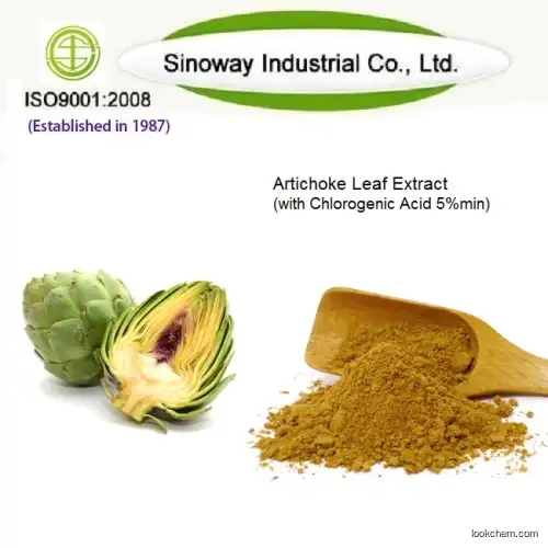 Artichoke Leaf Extract Powder Chlorogenic Acids 5%min