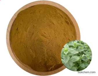 QA supplier Oregano extract powder Oregano leaf extract