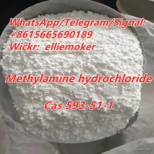 Buy Methylamine hydrochloride Cas 593-51-1