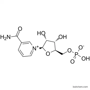 β-Nicotinamide Mononucleotide 1094-61-7 NMN NAD+ CAS NO.1094-61-7