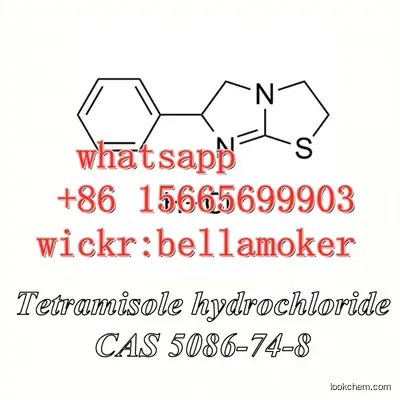 high purity Tetramisole hydrochloride Tetramisole hcl powder cas 5086-74-8 in stock with safe delivery