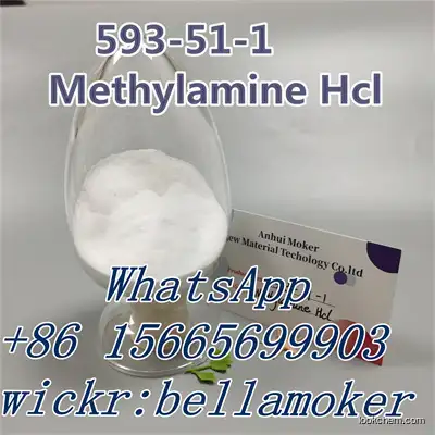 Methylamine hydrochloride Cas 593-51-1 Methylamine hcl powder in stock with safe delivery