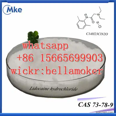 Free sample Pharmaceutical intermediates Lidocaine HCl cas  73-78-9 with door to door service